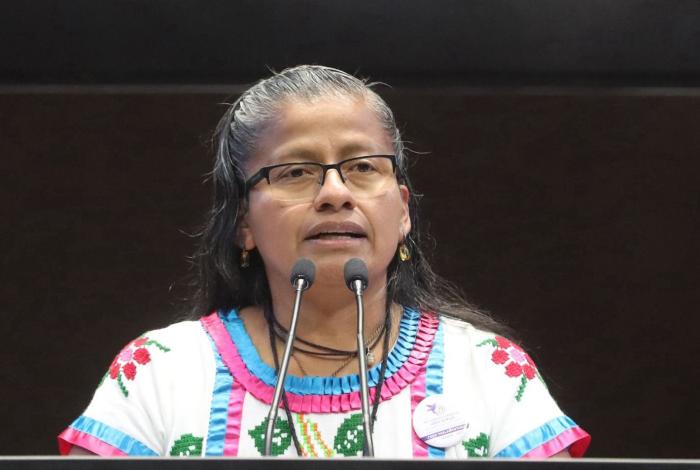 “2025, Año de la Mujer Indígena”LXVI Legislatura. “Soberanía y Justicia Social”