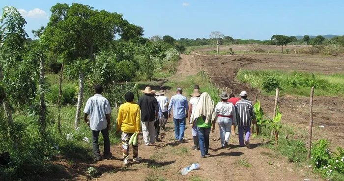 211 desplazados por violencia en Michoacán, regresaron a Tancítaro y Buenavista; faltan 242 de El Coire