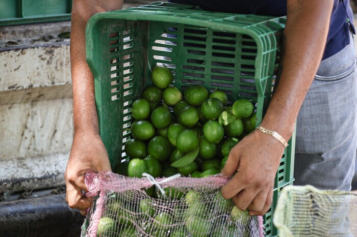 A 70 por ciento, obra en Tianguis Limonero