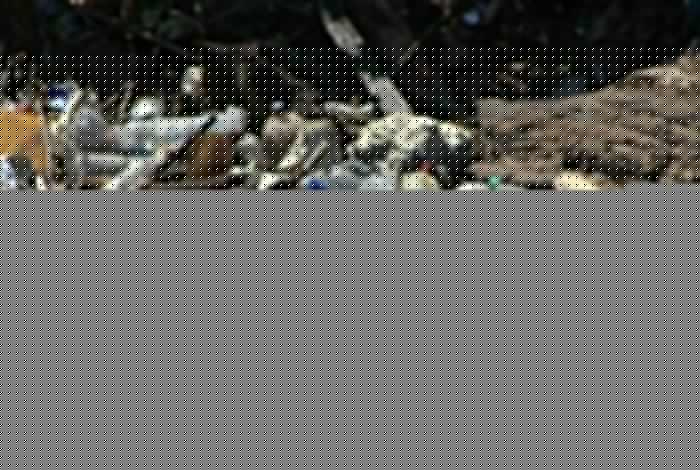 Adolfo Torres supervisa acciones preventivas; se retiran 44 mil toneladas de material en ríos y drenes