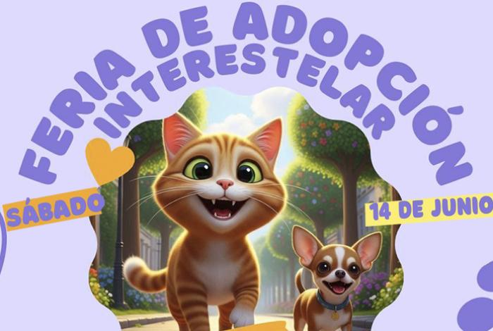 ¡Adopta un compañero peludo! Este sábado en la Feria de Adopción en el IMCED, en Morelia