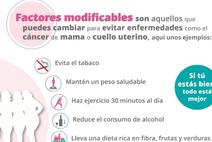 Adoptar estilos de vida saludables reduce el riesgo de cáncer de mama: SSM