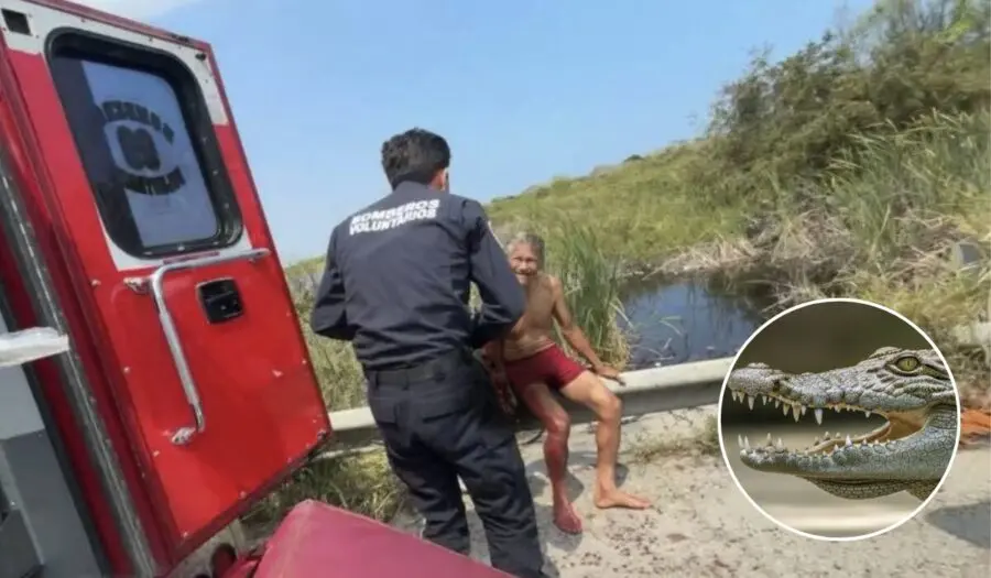 Adulto mayor es atacado por cocodrilo en Tamaulipas