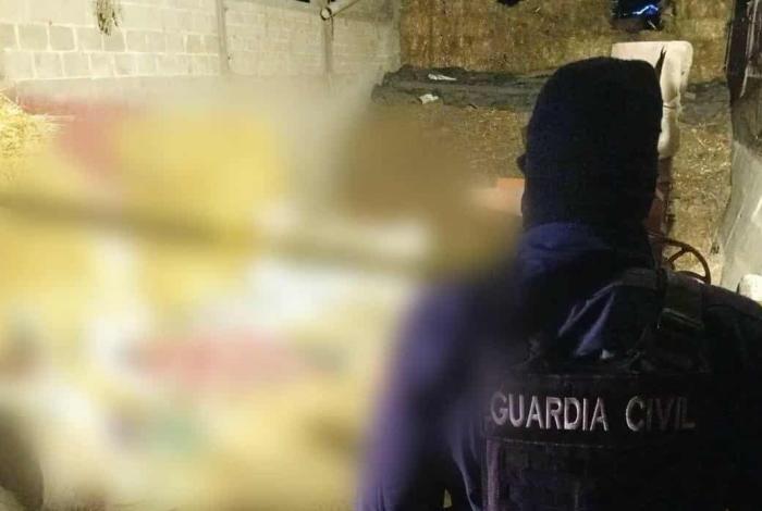Adulto mayor muere tras sufrir caída en La Palizada, Madero