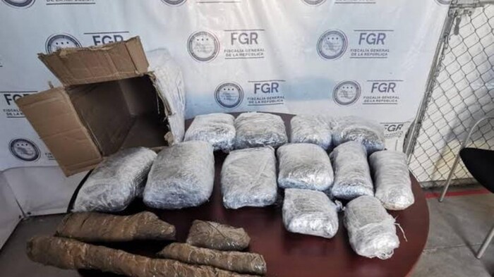 Agarraron a Héctor con 35 kilos de marihuana en Maravatío