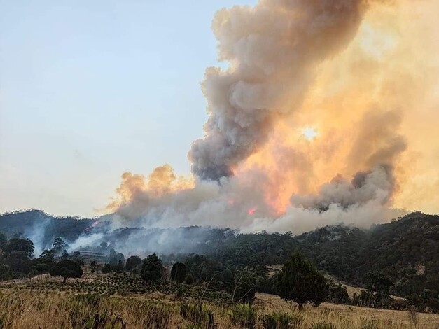 Agricultura de Michoacán en riesgo por incendios forestales