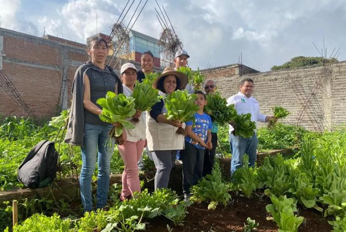 Agrosano ha entregado 150 mil aves e insumos para la soberanía alimentaria de 15 mil familias: Sader