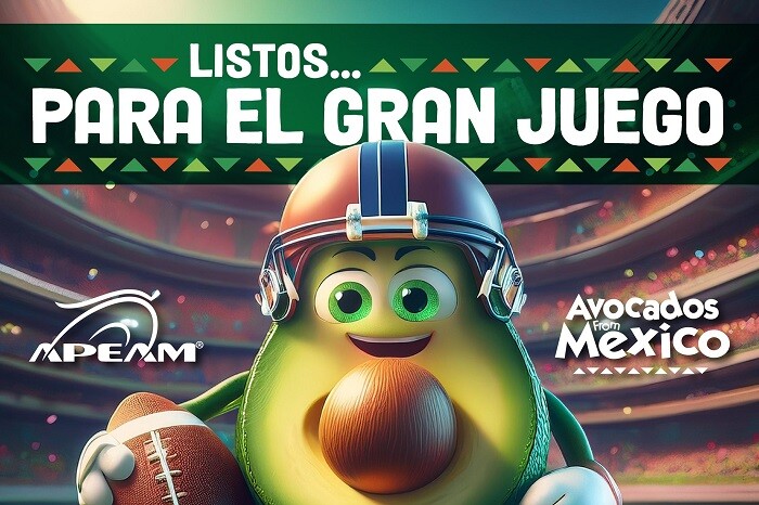 Aguacate michoacano, listo para el Super Bowl 2025 en Nueva Orleans; 110 mil toneladas llegarán a EUA