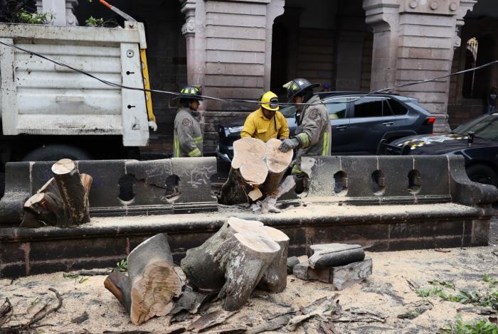 Alistan restauración de banca dañada por caída de árbol en la plaza de Armas