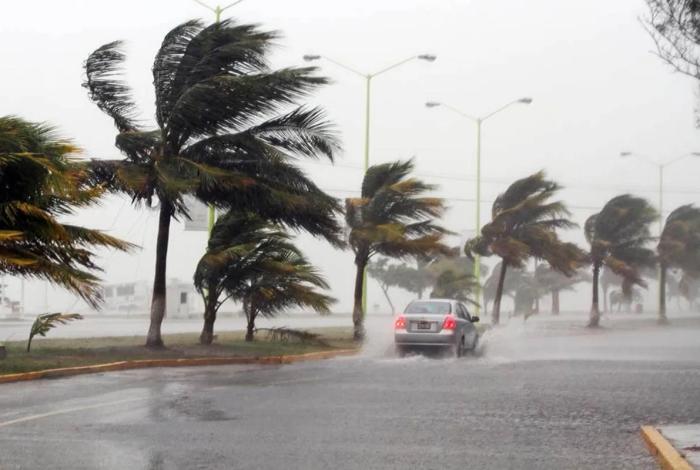 Alvin se convierte en la primera depresión tropical del Pacífico