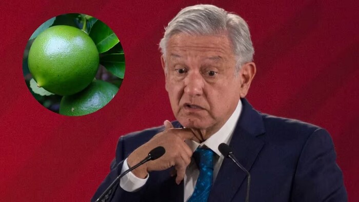 AMLO reconoce problema de extorsión a productores de limón en Michoacán