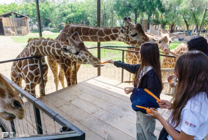 Ante llegada de nuevas especies al Zoo de Morelia, activistas llaman a priorizar su bienestar