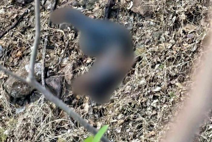 Apatzingán: cuerp0 encontrado en barranco es de un taxista ases1nad0