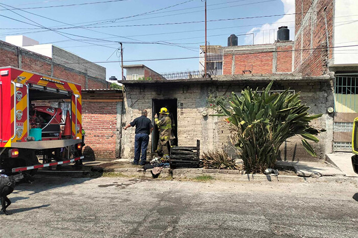 Arde domicilio en la colonia Felipe Carrillo Puerto, en Morelia; rescatan a perrito con leve intoxicación