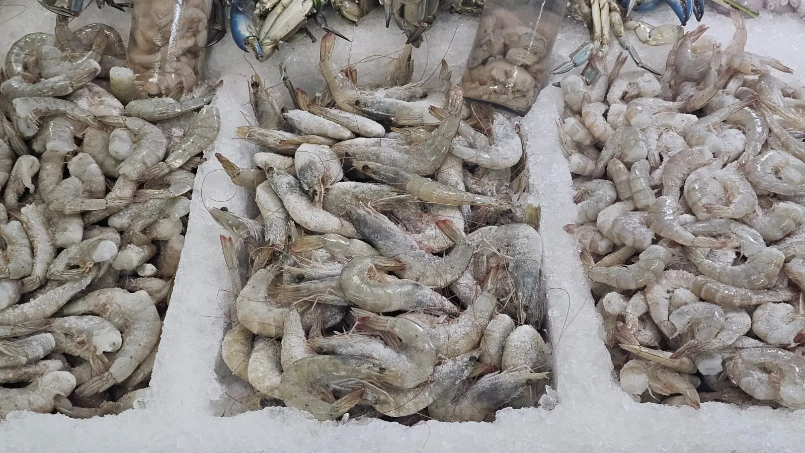 Arranca operativo de Cuaresma para garantizar calidad en mariscos