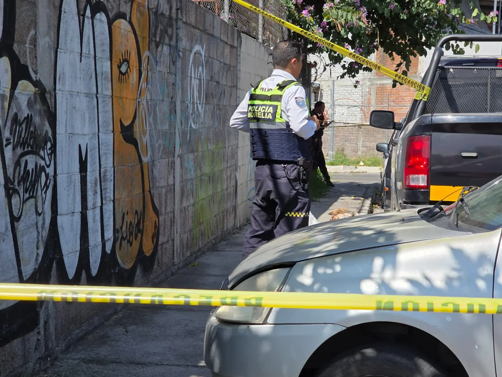 Arrojan costal con cinco lomitos muertos