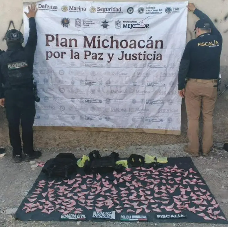 Aseguradas 270 dosis de metanfetamina en Zamora: SSP