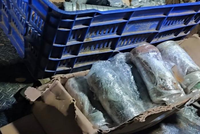 Aseguran 60 expl0sivos en campamento cland3stino, en Chinicuila