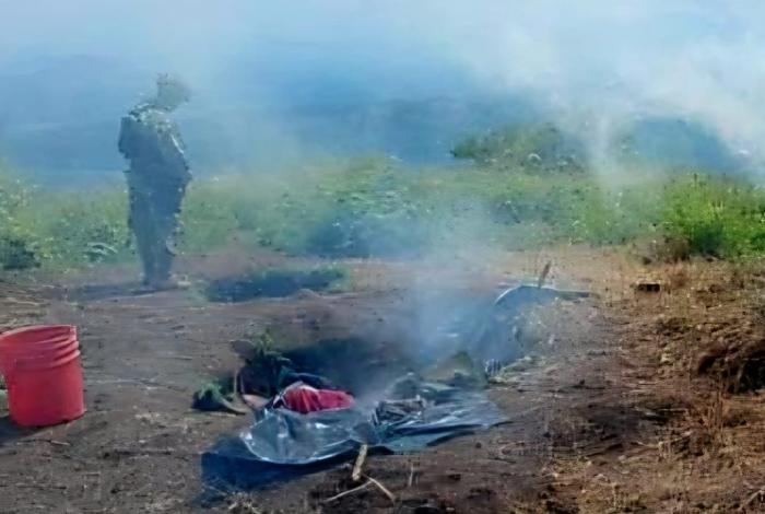 Aseguran dos narc0campamentos en Parácuaro