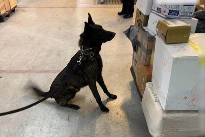 Aseguran en Aeropuerto de Ciudad de México un kilo de fentanilo con valor de 20 millones de dólares