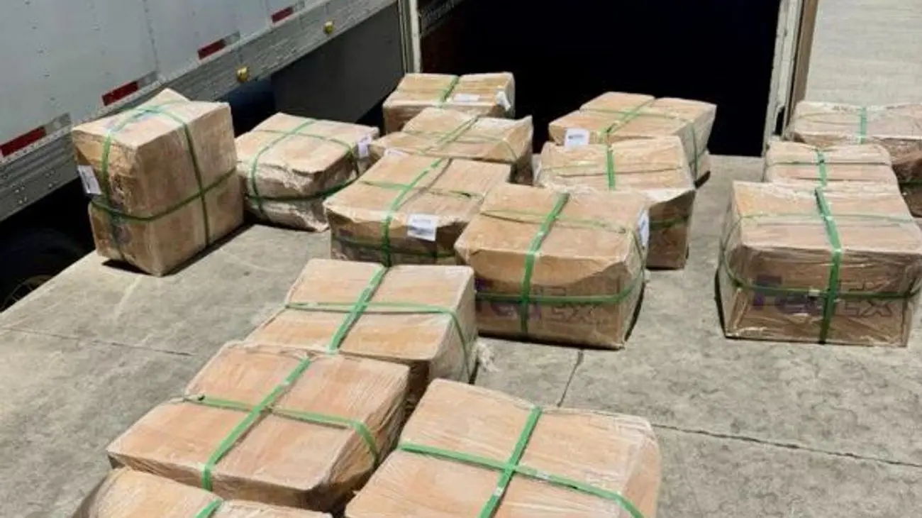 Aseguran mas de 500 kilos de tepezcohuite en el AICM; tenían como destino Reino Unido.