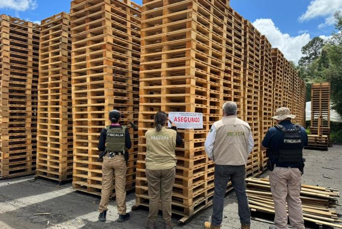 Aseguran productos forestales irregulares de pino y oyamel, en Madero