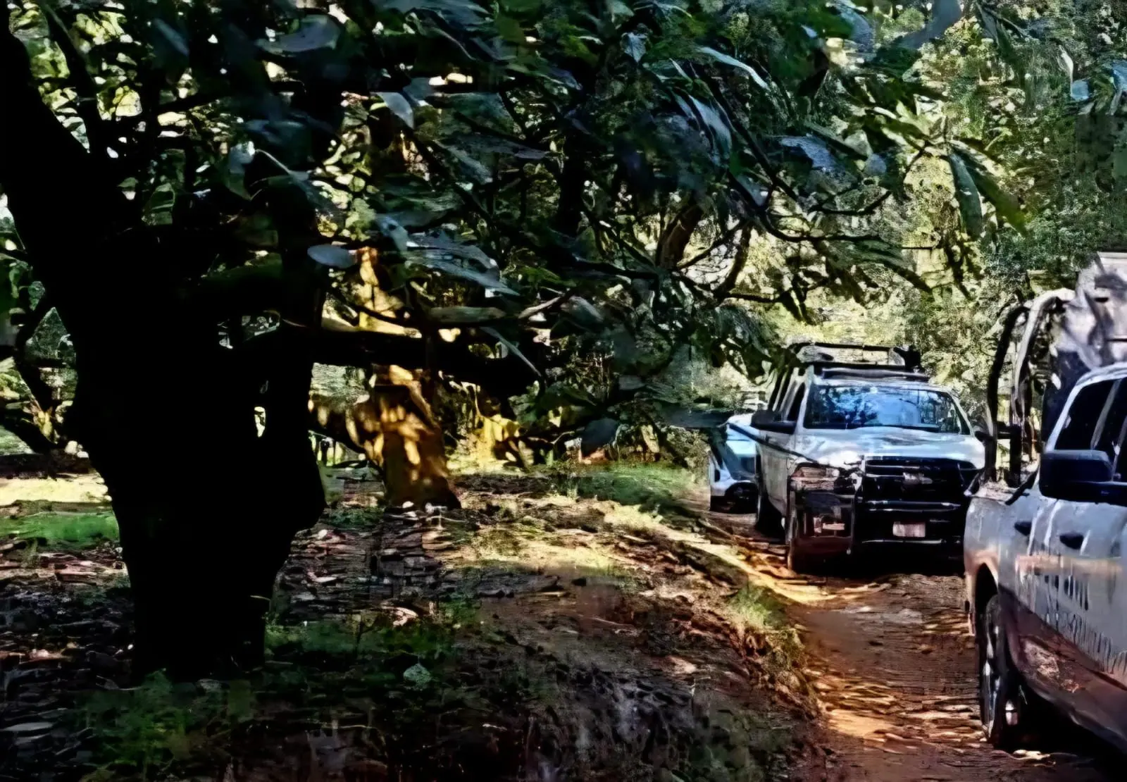 Asesinan a mujer en Uruapan