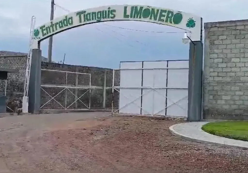 Asesinato de líder limonero de Apatzingán evidencia ineficacia de SSP y FGE en combate a la extorsión