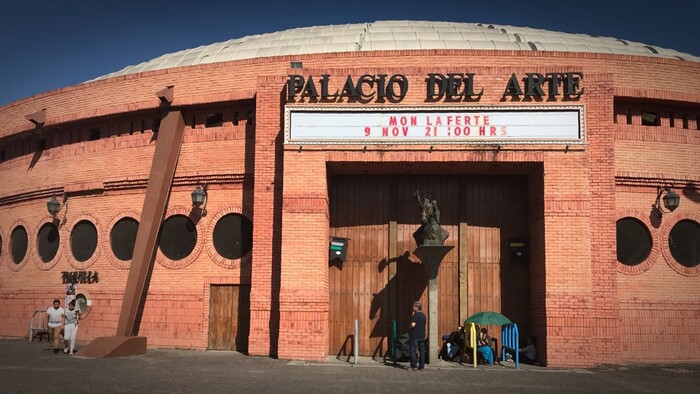 Asociaciones protectoras de animales se manifestarán este viernes en el Palacio del Arte