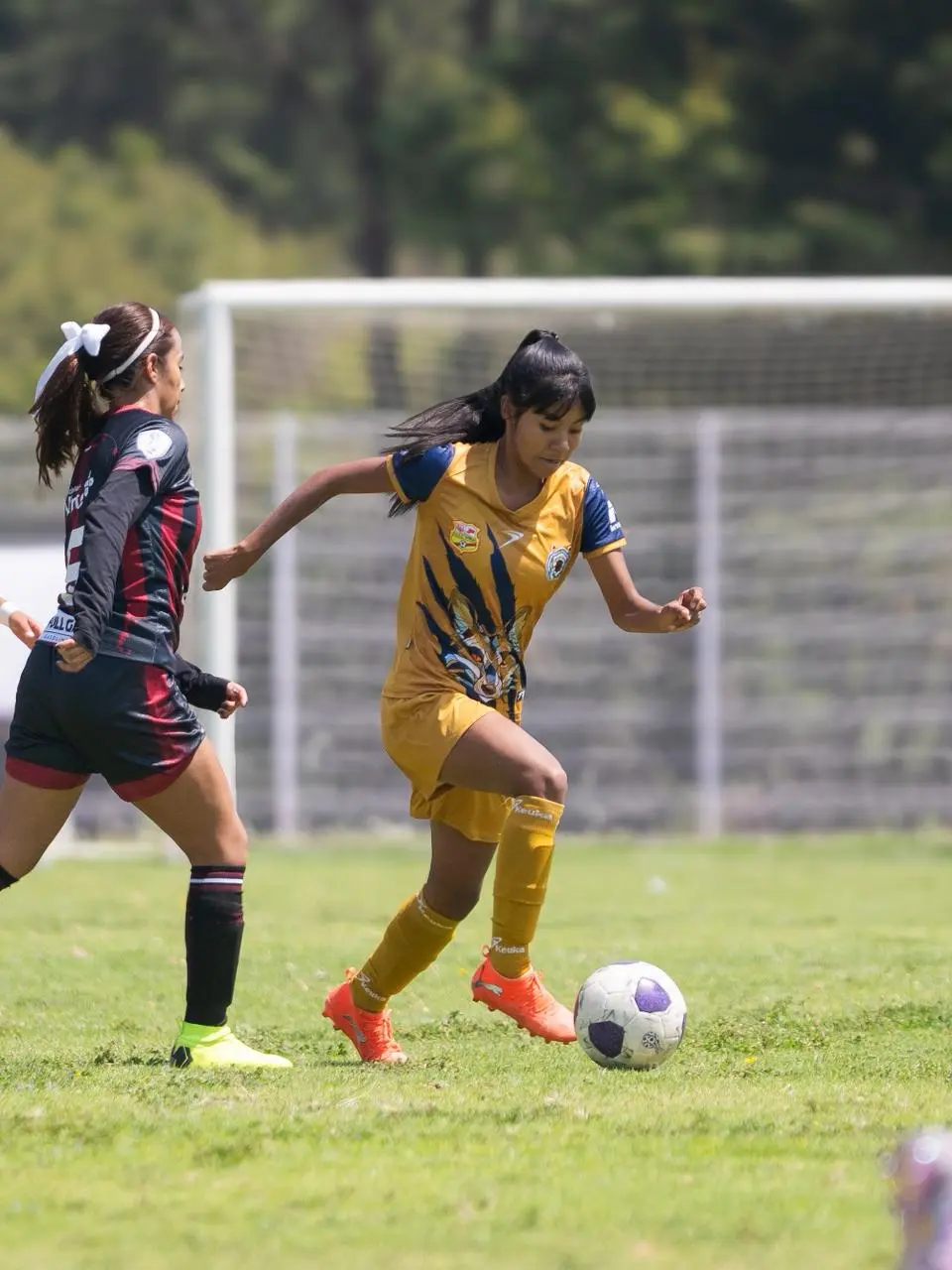 Atlético Morelia-UMSNH Femenil busca sellar su boleto a cuartos de final de la Liga TDP