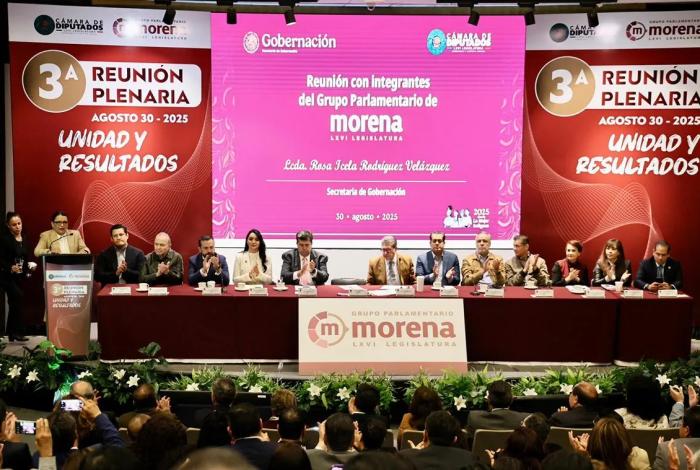 Austeridad: Principio Rector de Morena según Rosa Icela