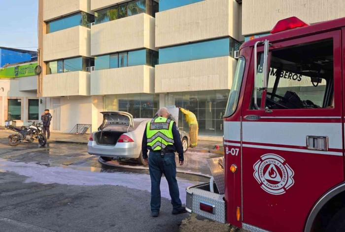 Auto estacionado se incendia en la colonia Jardinadas
