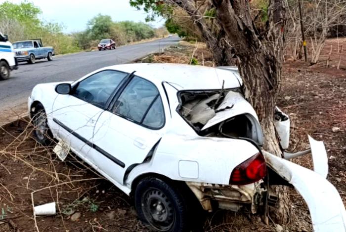 Automovilista queda herido tras chocar contra árbol en la Huetamo-San Lucas