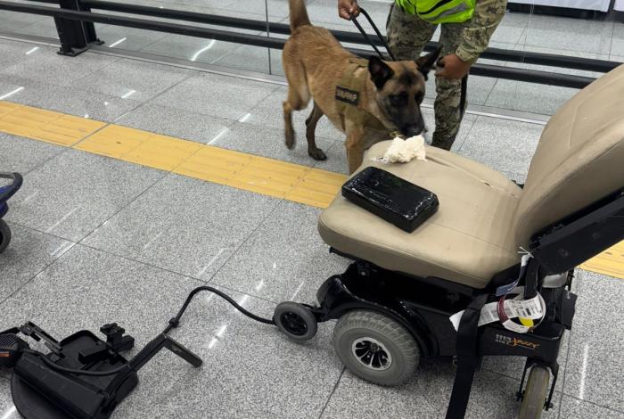 Autoridades detuvieron en el AICM a un hombre que transportaba 8.8 kilos de cocaína oculta en una silla de ruedas.