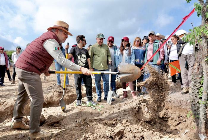 Avanza compromiso ambiental del Morebús con la plantación de 2 mil 500 árboles