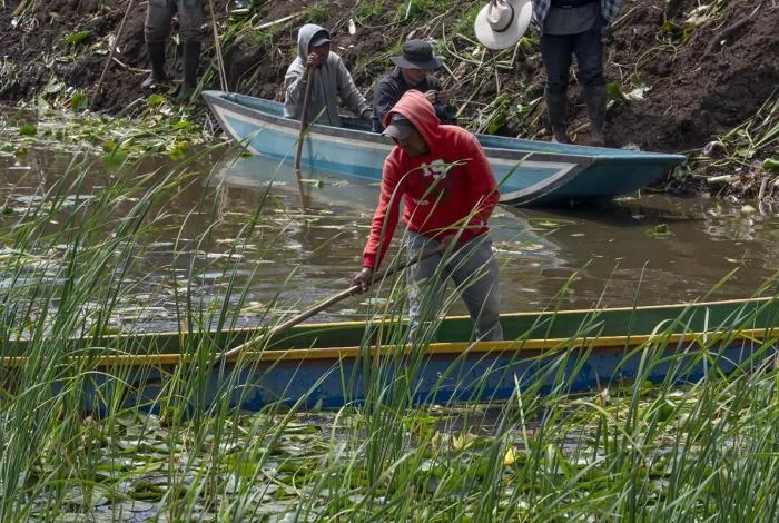 Avanza recuperación del canal de Erongarícuaro con trabajo de manos michoacanas