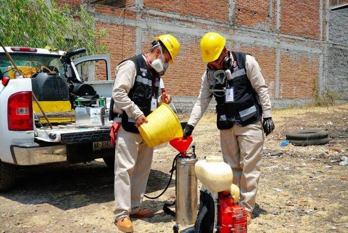 Bajan 65% casos de dengue en Michoacán: SSM