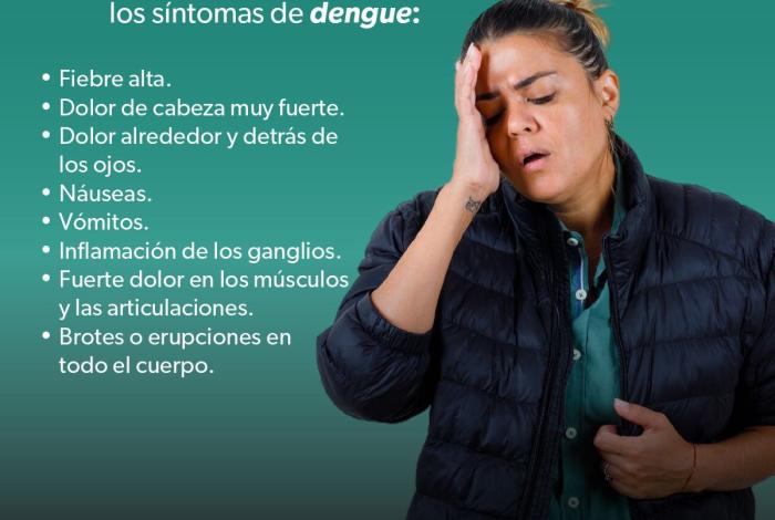 Bajan 65 % casos de dengue en Michoacán: SSM