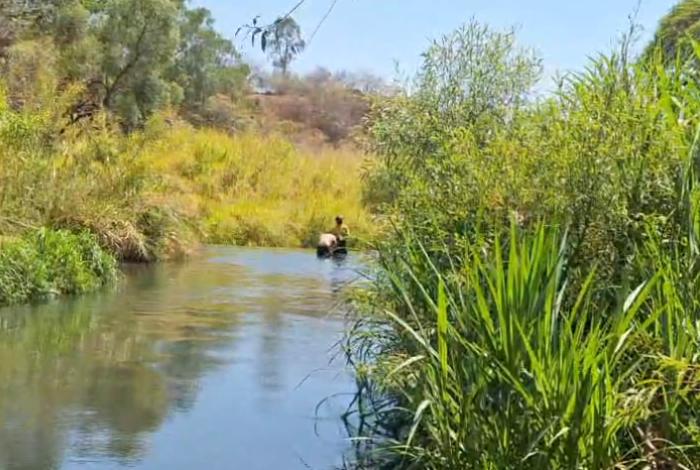 Bajo los influjos del alcohol, hombre pierde la vida en río de Los Reyes, Michoacán