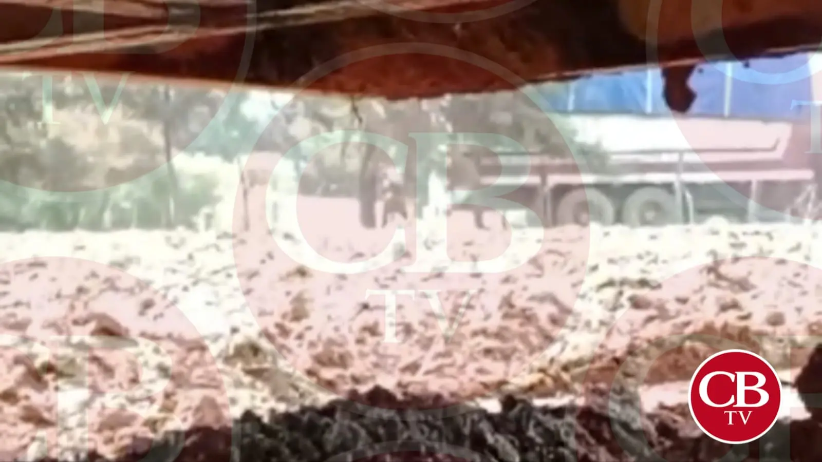 Balacera en Cherán entre Ronda Comunitaria y delincuentes