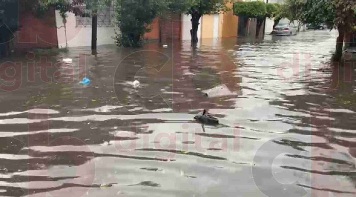 Basura acumulada, principal factor que provoca inundaciones