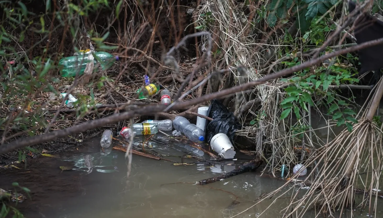 Basura, principal causa de inundaciones y de incendios en pastizales y lotes baldíos