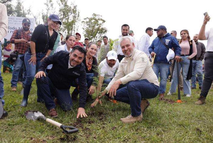 Bedolla: inicia plantación de 32 mil árboles en ruta del Morebús, este domingo