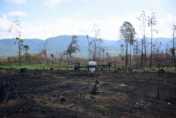 Bio Renace rescata 26 has forestales en cinco municipios michoacanos