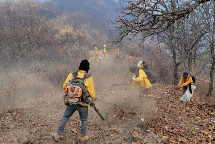 Brigadas de Cofom atienden incendio forestal en Tacámbaro