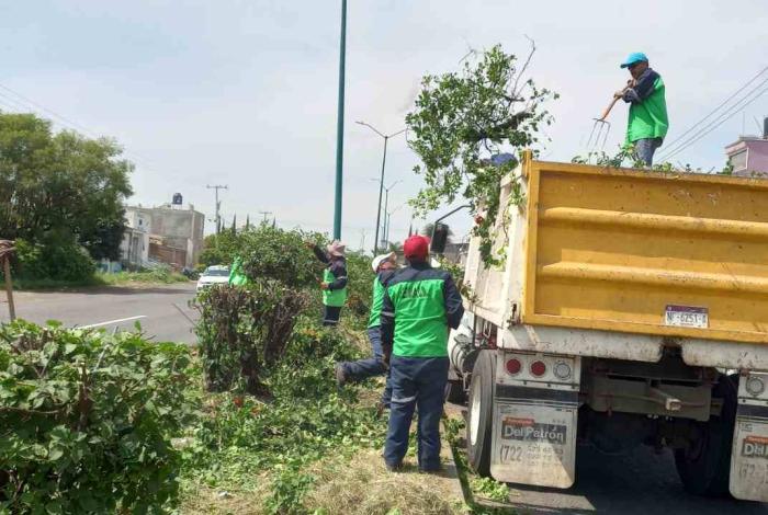 Brigadas de Servicios Públicos intervienen carretera a salida a Quiroga