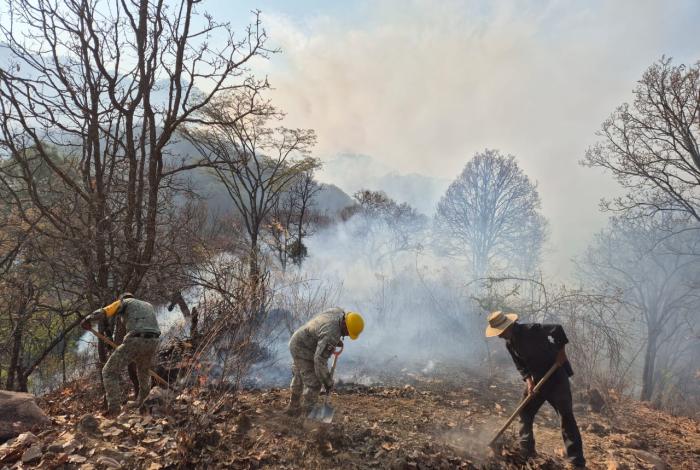 Brigadas forestales apagan 3 incendios en Hidalgo y Ocampo: Cofom