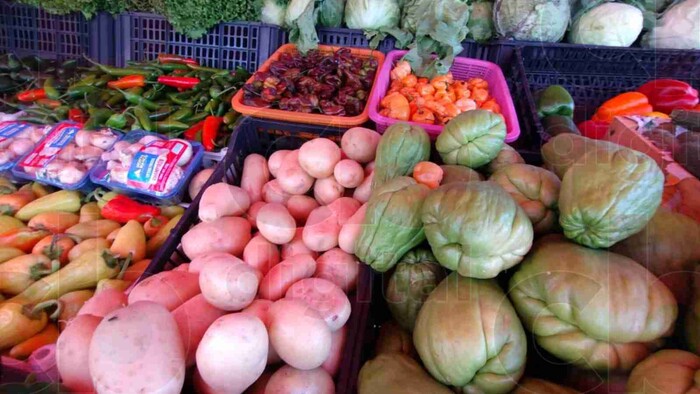 Caída de costos en algunas verduras de la canasta básica