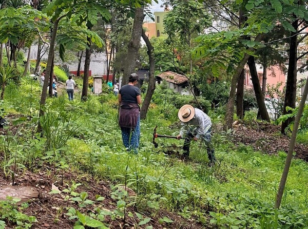 Campaña de reforestación en el parque Francisco Zarco de Morelia