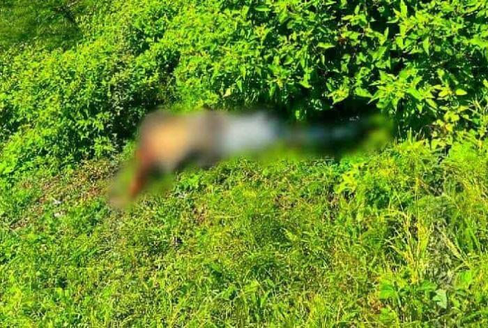 Carácuaro: encuentran cuerp0 con huellas de v1olenci4 abandonado en predio